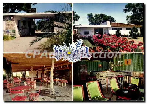 Cartes postales moderne Tropica Par Chiatra Commune De Linguizetta