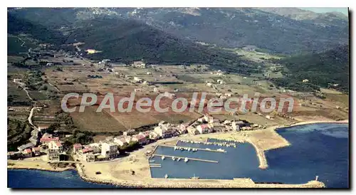 Cartes postales moderne Maccinaggio Le Port De Plaisance