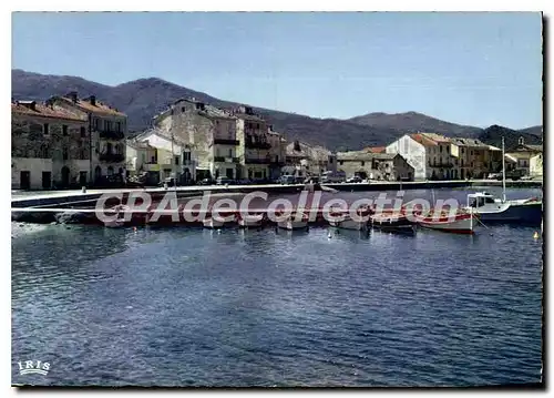 Cartes postales moderne Maccinaggio Le Petit Port