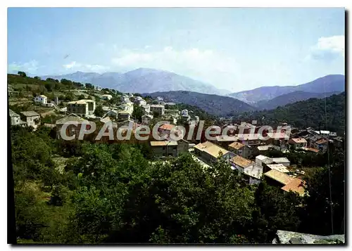 Cartes postales moderne Murato vue g�n�rale Du Village Cliche Particulier Murati