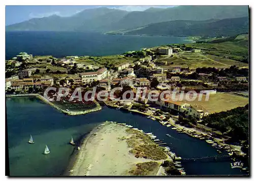 Cartes postales moderne Saint Florent Vue Du Port Et Son Golfe Magnifique