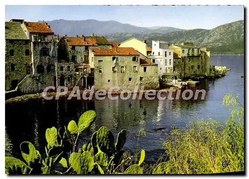 Cartes postales moderne Saint Florent La Vieille Ville