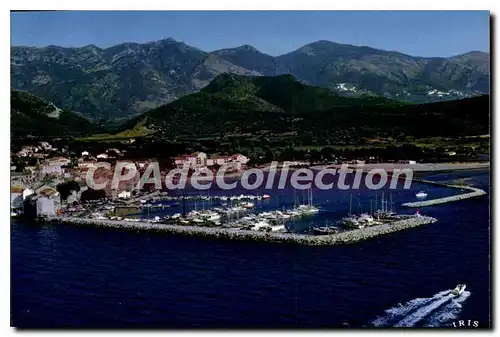 Cartes postales moderne Saint Florent Vue Generale Le Port De Plaisance