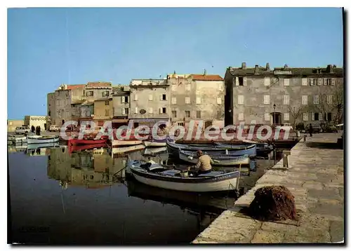 Cartes postales moderne Saint Florent Le Port De Peche Corse