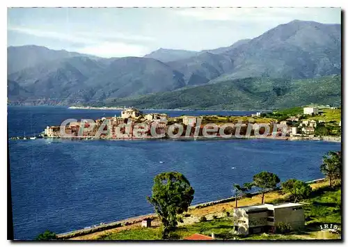 Cartes postales moderne Saint Florent Vue Generale