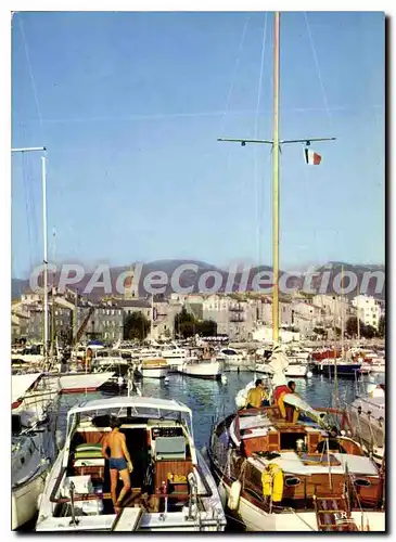 Cartes postales moderne Saint Florent Le Port De Plaisance