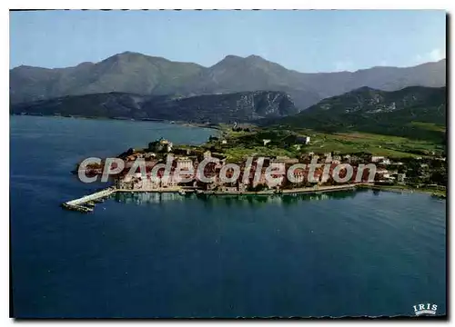 Cartes postales moderne Saint Florent Vue Generale