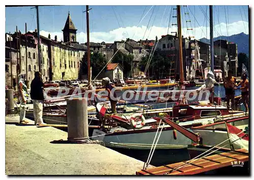 Cartes postales moderne Saint Florent Les yachts Dans Le Port De Plaisance