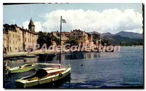 Cartes postales moderne Saint Florent Petit Port De Peche
