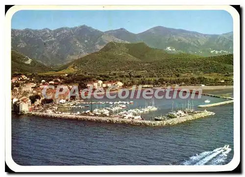 Cartes postales moderne Saint Florent Vue Generale Le Port De Plaisance