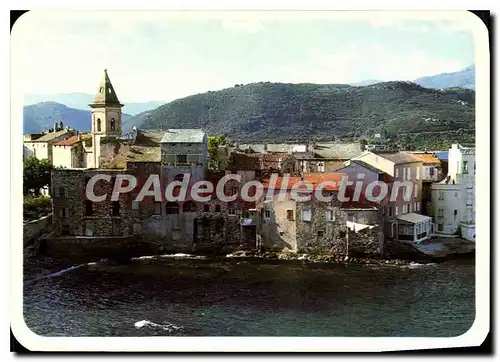 Cartes postales moderne Saint Florent Vue Partielle