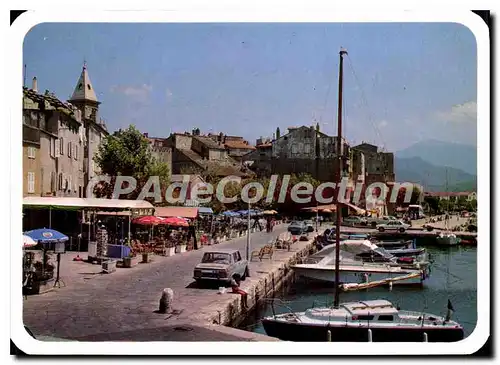 Cartes postales moderne Saint Florent La Promenade Des Quais
