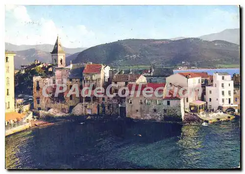 Cartes postales moderne Saint Florent Le Vieux Port