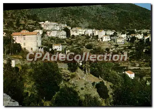 Cartes postales Venaco Vue Partielle Du Village