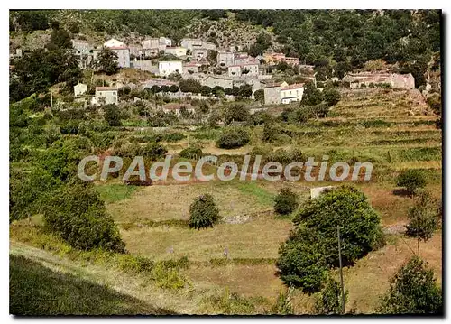 Cartes postales Zicavo Vue Partielle