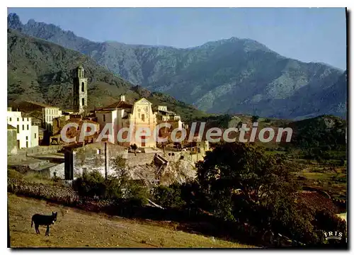 Cartes postales Montemaggiore Vue Generale