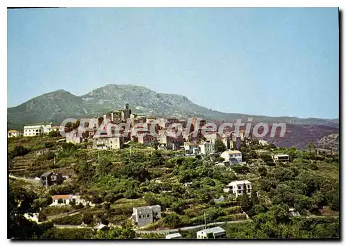 Cartes postales moderne Furiani Vue Generale