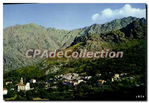 Cartes postales moderne Feliceto Vue Generale Le Grand Hotel Mare E Monti ile rousse