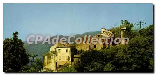 Cartes postales moderne Pino Corse