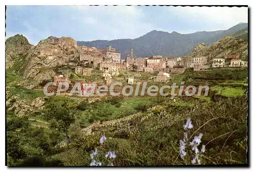 Cartes postales moderne Speluncato Vue Partielle Du Village