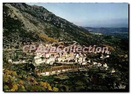 Cartes postales moderne Cervione Vue Generale