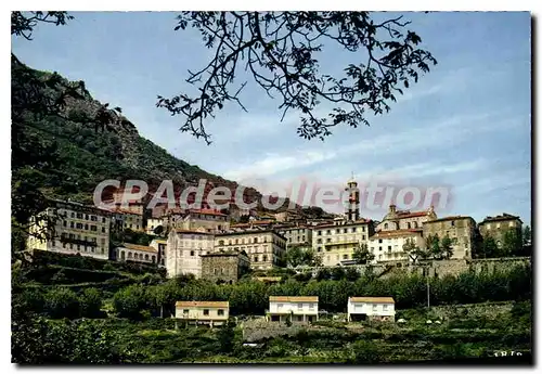 Cartes postales moderne Cervione Vue Generale