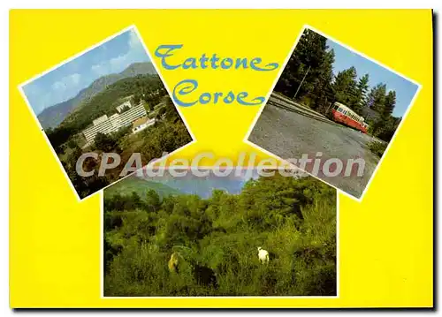 Cartes postales moderne Vue Du Sanatorium De Tattone