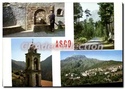 Cartes postales moderne Asco La Fontaine Vue Generale Le Clocher La Foret