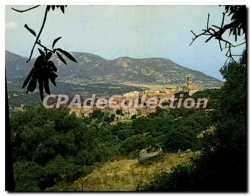 Cartes postales moderne Aregno Vue Generale