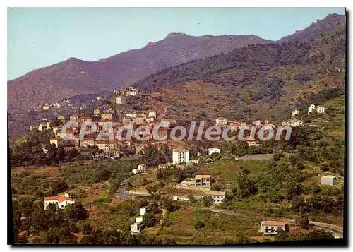Cartes postales moderne Oletta Corse Vue Generale