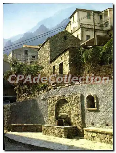 Cartes postales moderne Charmes Et Couleurs De La Corse Vue De La Fontaine Asco libre service Vesp�rini