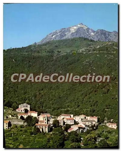 Cartes postales moderne Charmes Et Couleurs De La Corse Muracciole Et Son Chateau