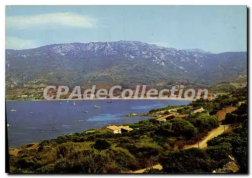 Cartes postales moderne Le Golfe De Campomoro