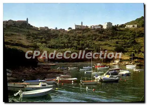 Cartes postales moderne Charmes Et Couleurs De La Corse Cargese Le Port