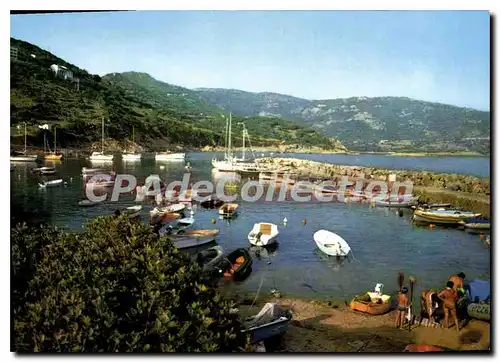 Cartes postales moderne Charmes Et Couleurs De La Corse Cargese Le Port De Plaisance