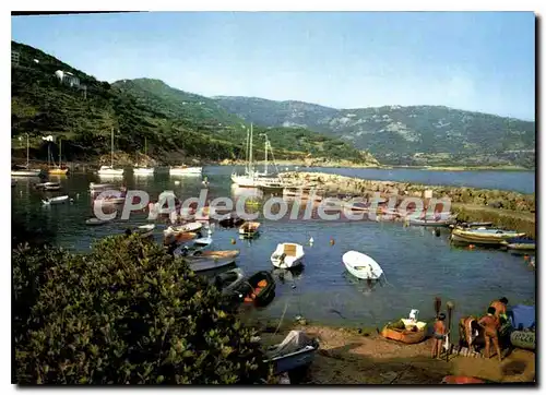 Moderne Karte Charmes Et Couleurs De La Corse Cargese Le Port De Plaisance