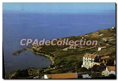 Cartes postales moderne Le Port De Cargese