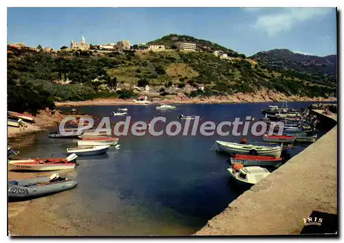 Cartes postales moderne Charmes Et Couleurs De La Corse Cargese Corse Le Port
