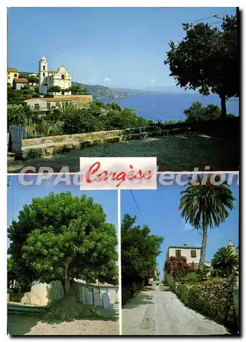 Cartes postales moderne Cargese Corse L'Eglise Et Le Golfe phytolacca dio�ca