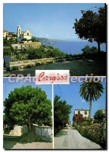 Moderne Karte Cargese Corse L'Eglise Et Le Golfe phytolacca dio�ca