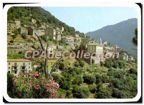 Moderne Karte Charmes Et Couleurs De La Corse Olmeto Vue Generale