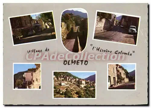 Cartes postales moderne Divers Aspects D'Olmeto