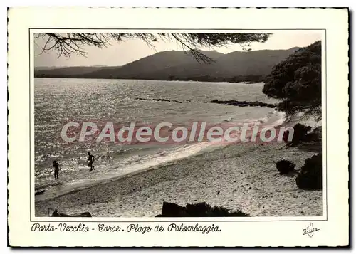 Cartes postales moderne Porto Vecchio Plage De Palombaggia