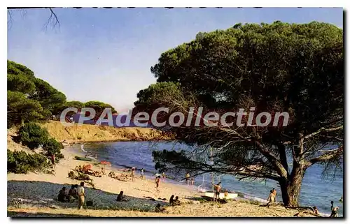 Cartes postales moderne Porto Vecchio La Plage De Palombaggia