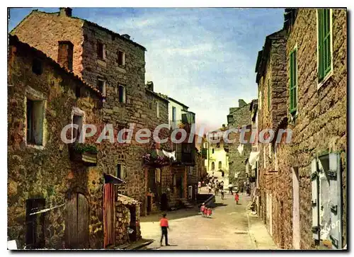 Cartes postales moderne Porto Vecchio Un Coin De La Ville Ruelle Bordee