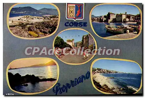 Cartes postales moderne Propriano Charmes Et Couleurs De La Corse