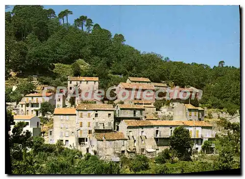 Cartes postales moderne Serra Di Scopamene Vue Partielle Du Village