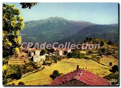 Cartes postales moderne Mela Petit Village Corse
