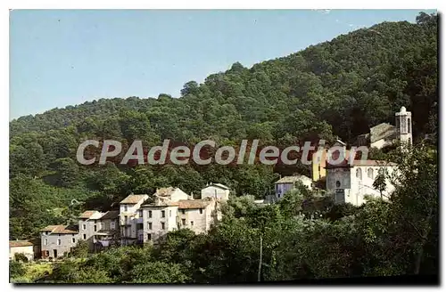 Cartes postales moderne Nesa Corse hameau de Vico