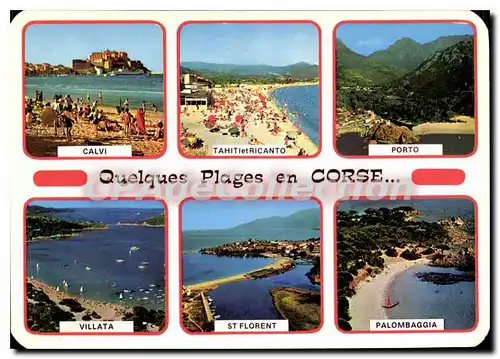 Cartes postales moderne Calvi Tahiti et Ricanto Porto Villata St Florent Palombaggia Quelques Plages En Corse